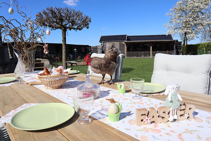 Een gezellige paasbrunch