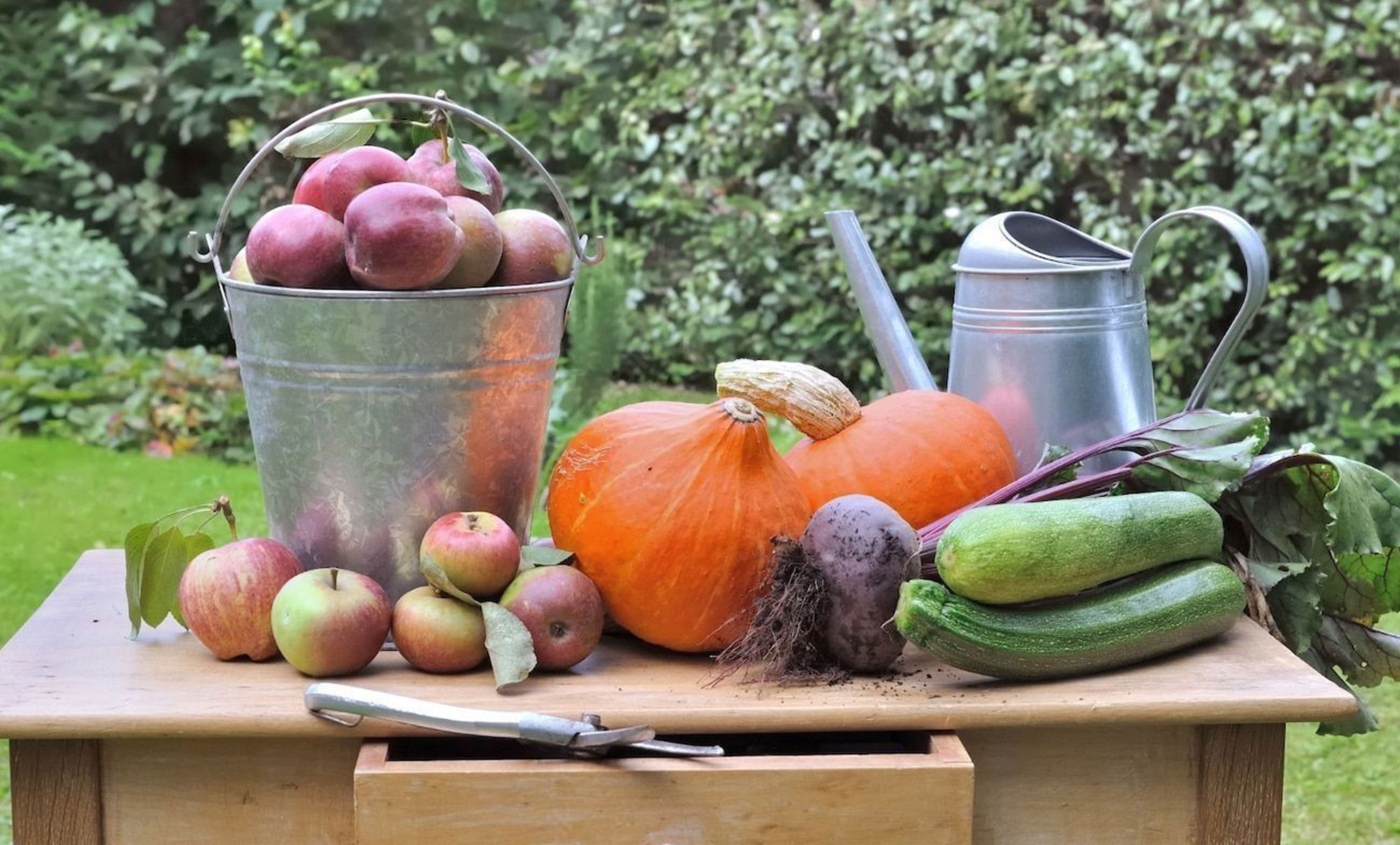 Hoe maak je jouw tuin herfstklaar?