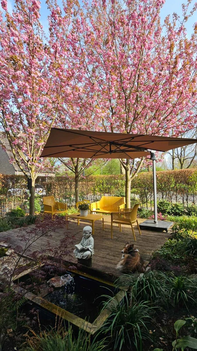 zweefparasol-klantfoto-blog-gerrits-tuinmeubelen