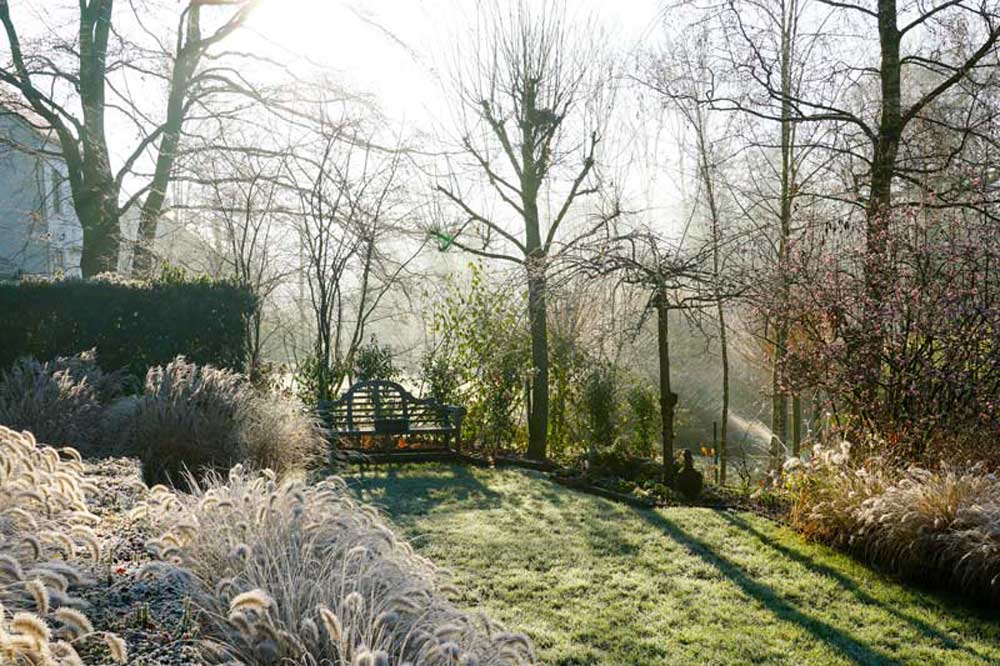 Is jouw tuin winterklaar?